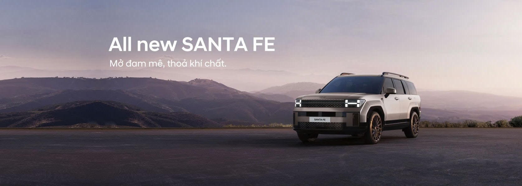 hyundai can tho santa fe banner 1